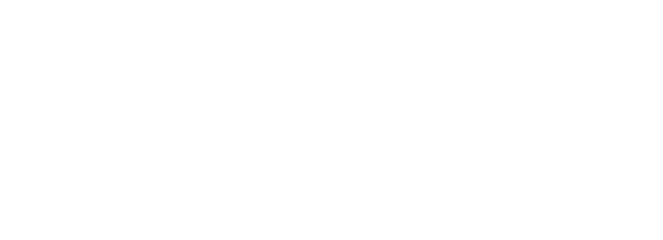 ThePicksHouse France